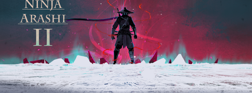 Ninja Arashi 2
